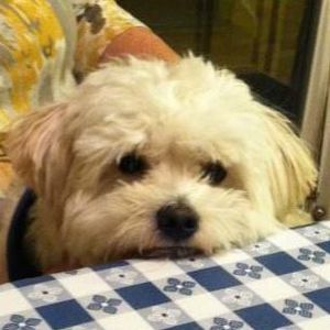 Meet your Posher, Theresa